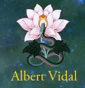 Albert Vidal